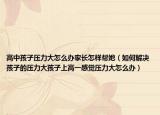 高中孩子压力大怎么办家长怎样帮她（如何解决孩子的压力大孩子上高一感觉压力大怎么办）
