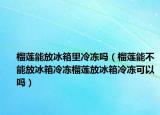 榴莲能放冰箱里冷冻吗（榴莲能不能放冰箱冷冻榴莲放冰箱冷冻可以吗）