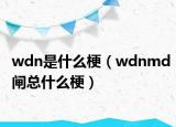 wdn是什么梗（wdnmd闸总什么梗）