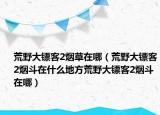 荒野大镖客2烟草在哪（荒野大镖客2烟斗在什么地方荒野大镖客2烟斗在哪）