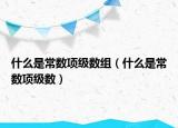 什么是常数项级数组（什么是常数项级数）