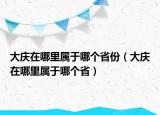 大庆在哪里属于哪个省份（大庆在哪里属于哪个省）