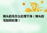 猪头的毛怎么处理干净（猪头的毛如何处理）