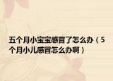 五个月小宝宝感冒了怎么办（5个月小儿感冒怎么办啊）