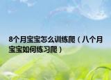 8个月宝宝怎么训练爬（八个月宝宝如何练习爬）