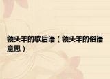 领头羊的歇后语（领头羊的俗语意思）