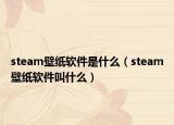 steam壁纸软件是什么（steam壁纸软件叫什么）