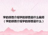 字的部首介绍字的部首是什么偏旁（字的部首介绍字的部首是什么）