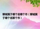 聊城属于哪个省哪个市（聊城属于哪个省那个市）