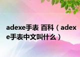adexe手表 百科（adexe手表中文叫什么）