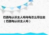 巴西龟认识主人吗乌龟怎么带出去（巴西龟认识主人吗）