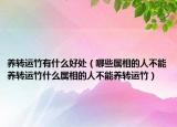 养转运竹有什么好处（哪些属相的人不能养转运竹什么属相的人不能养转运竹）