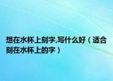 想在水杯上刻字,写什么好（适合刻在水杯上的字）