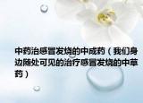 中药治感冒发烧的中成药（我们身边随处可见的治疗感冒发烧的中草药）