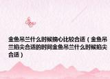金鱼吊兰什么时候摘心比较合适（金鱼吊兰掐尖合适的时间金鱼吊兰什么时候掐尖合适）