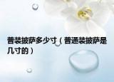 普装披萨多少寸（普通装披萨是几寸的）