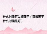 什么时候可以摘莲子（采摘莲子什么时候最好）