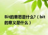 Bit的意思是什么?（bit的意义是什么）