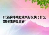 什么茶叶减肥效果好又快（什么茶叶减肥效果好）