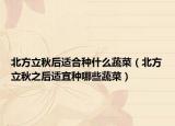 北方立秋后适合种什么蔬菜（北方立秋之后适宜种哪些蔬菜）