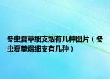 冬虫夏草细支烟有几种图片（冬虫夏草烟细支有几种）