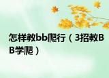 怎样教bb爬行（3招教BB学爬）