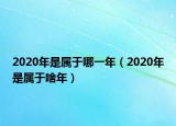 2020年是属于哪一年（2020年是属于啥年）