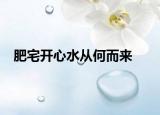 肥宅开心水从何而来