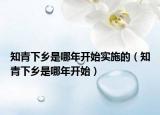 知青下乡是哪年开始实施的（知青下乡是哪年开始）