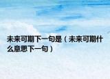 未来可期下一句是（未来可期什么意思下一句）