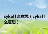 syka什么意思（cyka什么意思）