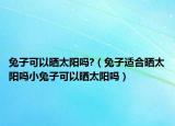 兔子可以晒太阳吗?（兔子适合晒太阳吗小兔子可以晒太阳吗）