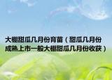 大棚甜瓜几月份育苗（甜瓜几月份成熟上市一般大棚甜瓜几月份收获）
