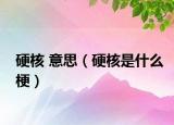 硬核 意思（硬核是什么梗）