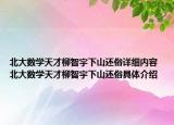 北大数学天才柳智宇下山还俗详细内容 北大数学天才柳智宇下山还俗具体介绍