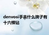 denvosi手表什么牌子有十六棵钻