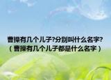 曹操有几个儿子?分别叫什么名字?（曹操有几个儿子都是什么名字）