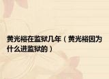 黄光裕在监狱几年（黄光裕因为什么进监狱的）