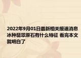 2022年9月01日最新相关报道消息 冰种翡翠原石有什么特征 看完本文就明白了