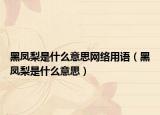 黑凤梨是什么意思网络用语（黑凤梨是什么意思）