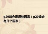 g20峰会是哪些国家（g20峰会有几个国家）