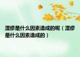 湿疹是什么因素造成的呢（湿疹是什么因素造成的）