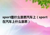 sport是什么意思汽车上（sport在汽车上什么意思）