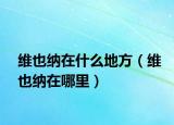 维也纳在什么地方（维也纳在哪里）