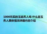 1000元买的玉能养人吗 什么是玉养人具体情况详细内容介绍