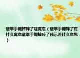 翡翠手镯摔碎了啥寓意（翡翠手镯碎了有什么寓意翡翠手镯摔碎了预示着什么意思）