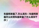 车座椅发霉了,怎么清洗（车座椅发霉怎么处理车座发霉了怎么清洗干净）