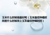 玉米什么时候栽最好呢（玉米最佳种植时间是什么时候坝上玉米最佳种植时间）