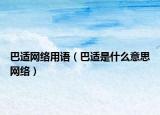 巴适网络用语（巴适是什么意思网络）
