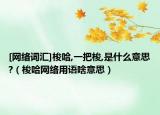 [网络词汇]梭哈,一把梭,是什么意思?（梭哈网络用语啥意思）